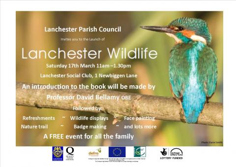 wildlife-invite-flyer